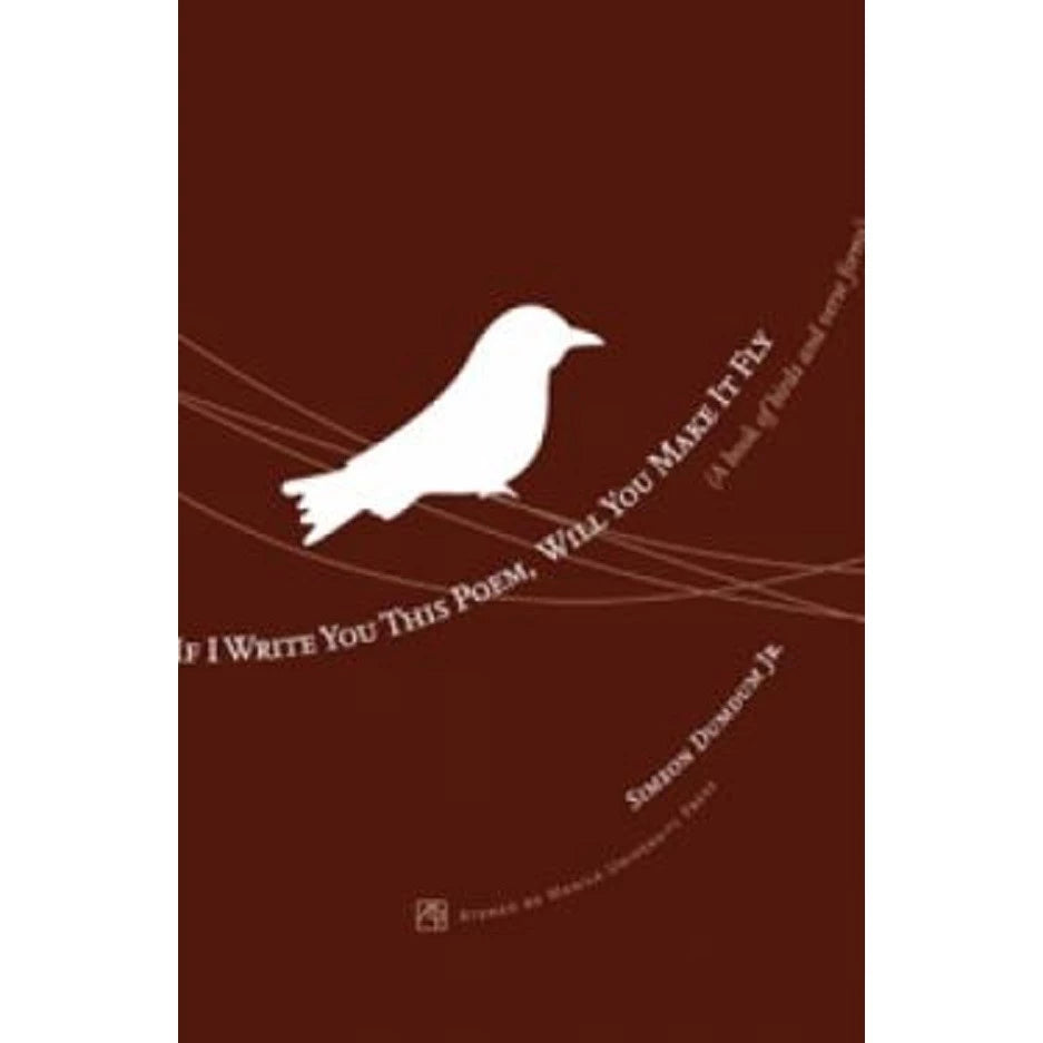 If I Write You this Poem, Will You Make It Fly (A book of birds and verse forms) Front Cover