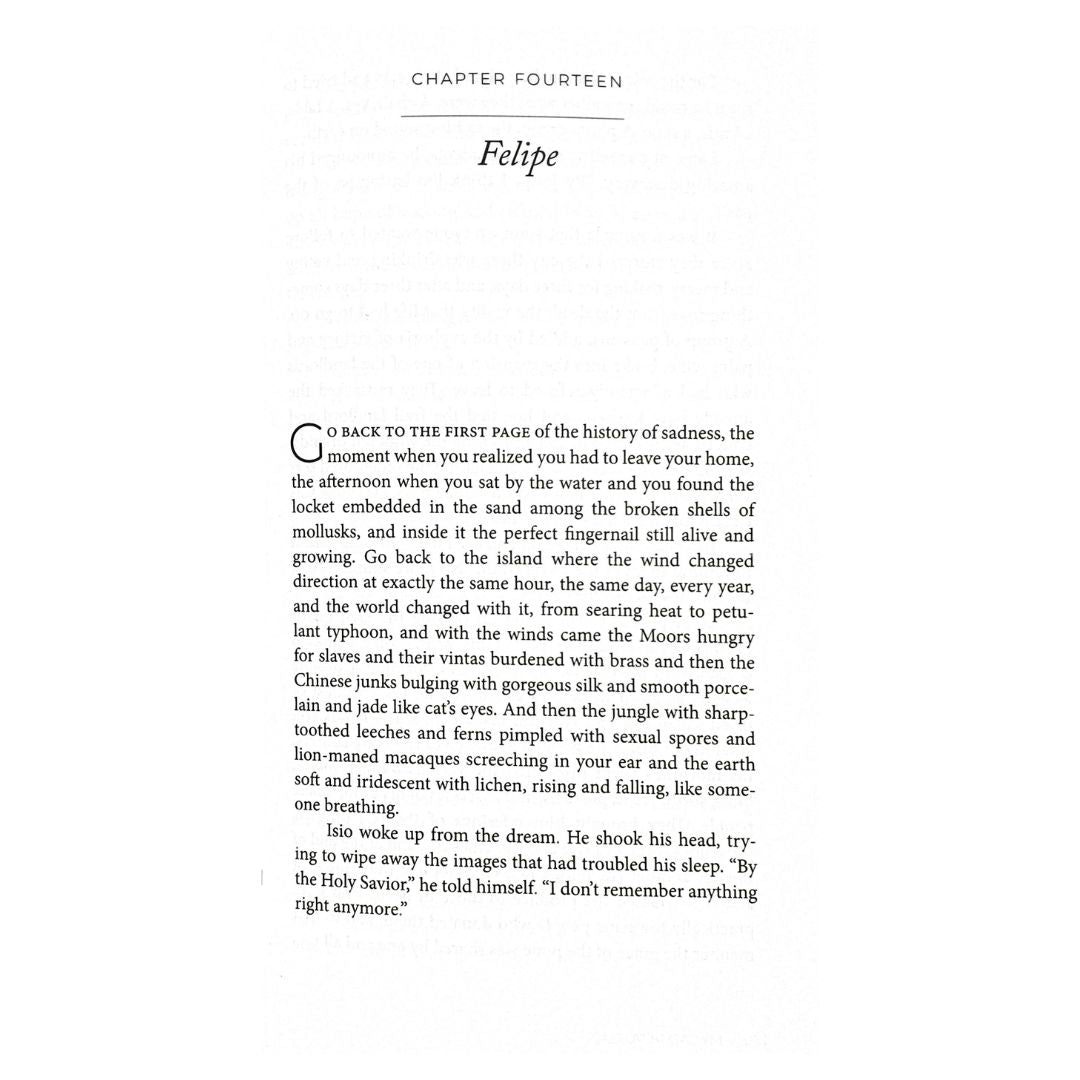 My Sad Republic A Novel by Eric Gamalinda Chapter Fourteen Felipe