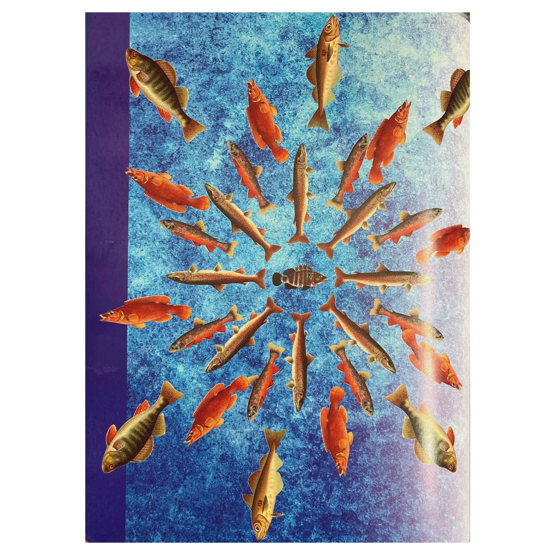 Appetite for Freedom: The Recipes of Maria Y. Orosa with Essays on Her Life and Work Image of A Fish