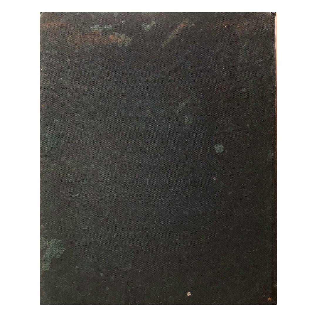 Forestry Bureau: Important Philippine Woods Back cover