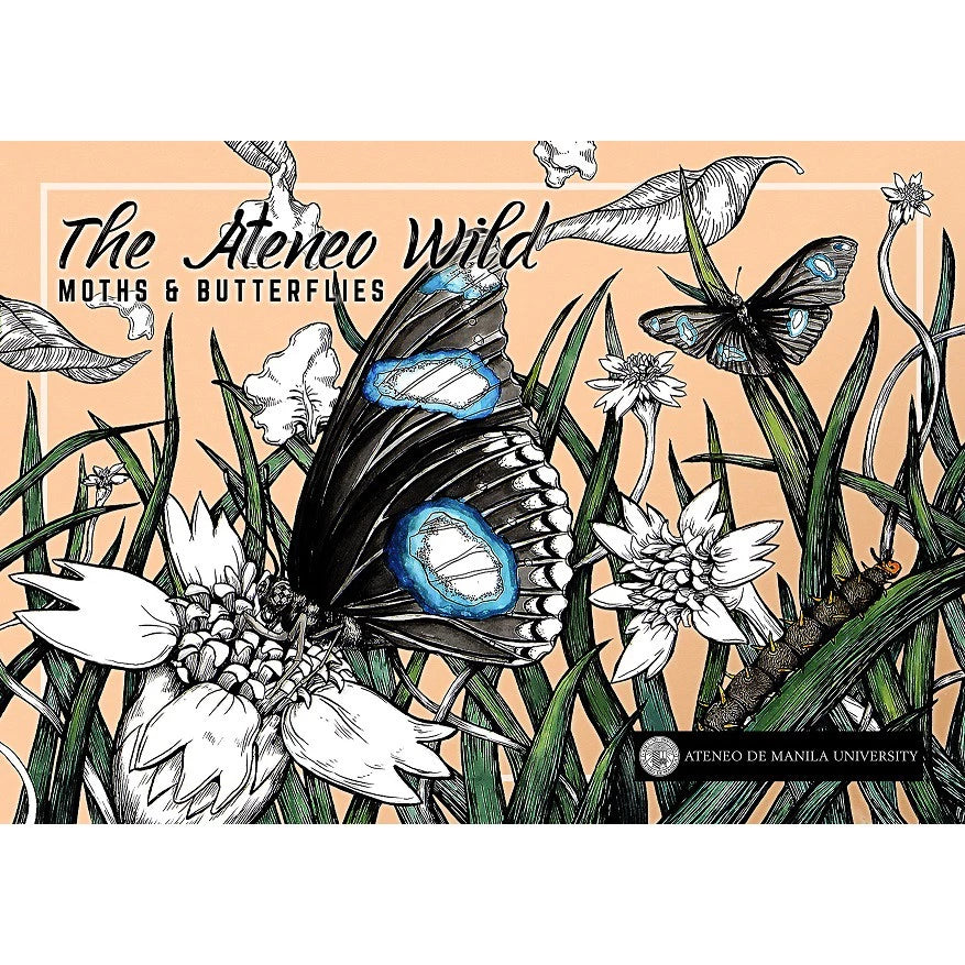The Ateneo Wild: Butterflies and Moths Front Cover