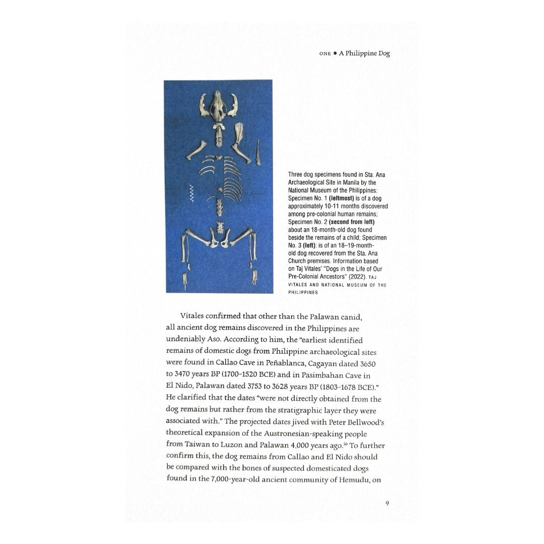 Dogs in Philippine History (Photo of a Dog Skeletal Body)