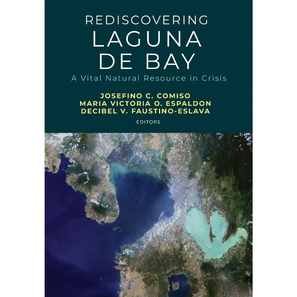 Rediscovering Laguna de Bay A Vital Natural Resource in Crisis Front Cover