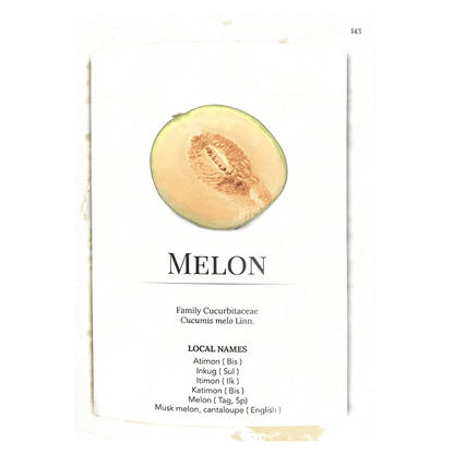 Medicinal Fruits, Vegetables, & Spices (Picture of Melon)
