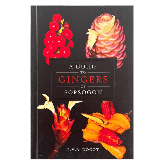 A Guide to Ginger of Sorsogon: R. V. A. Docot (Front Cover)