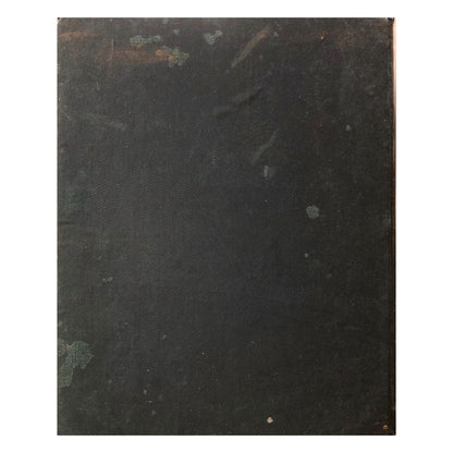 Forestry Bureau: Important Philippine Woods Back cover