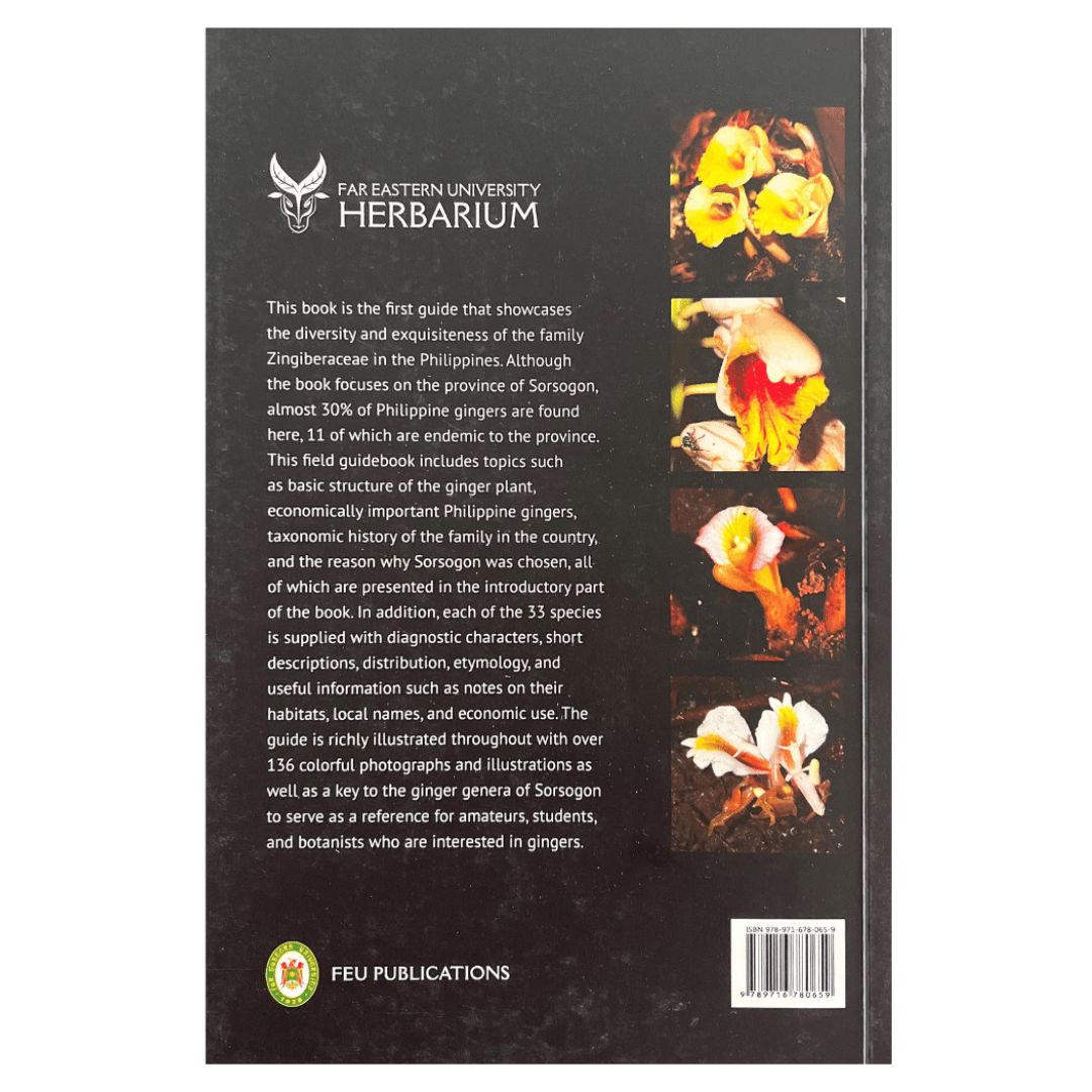 A Guide to Ginger of Sorsogon: R. V. A. Docot (Back Cover)