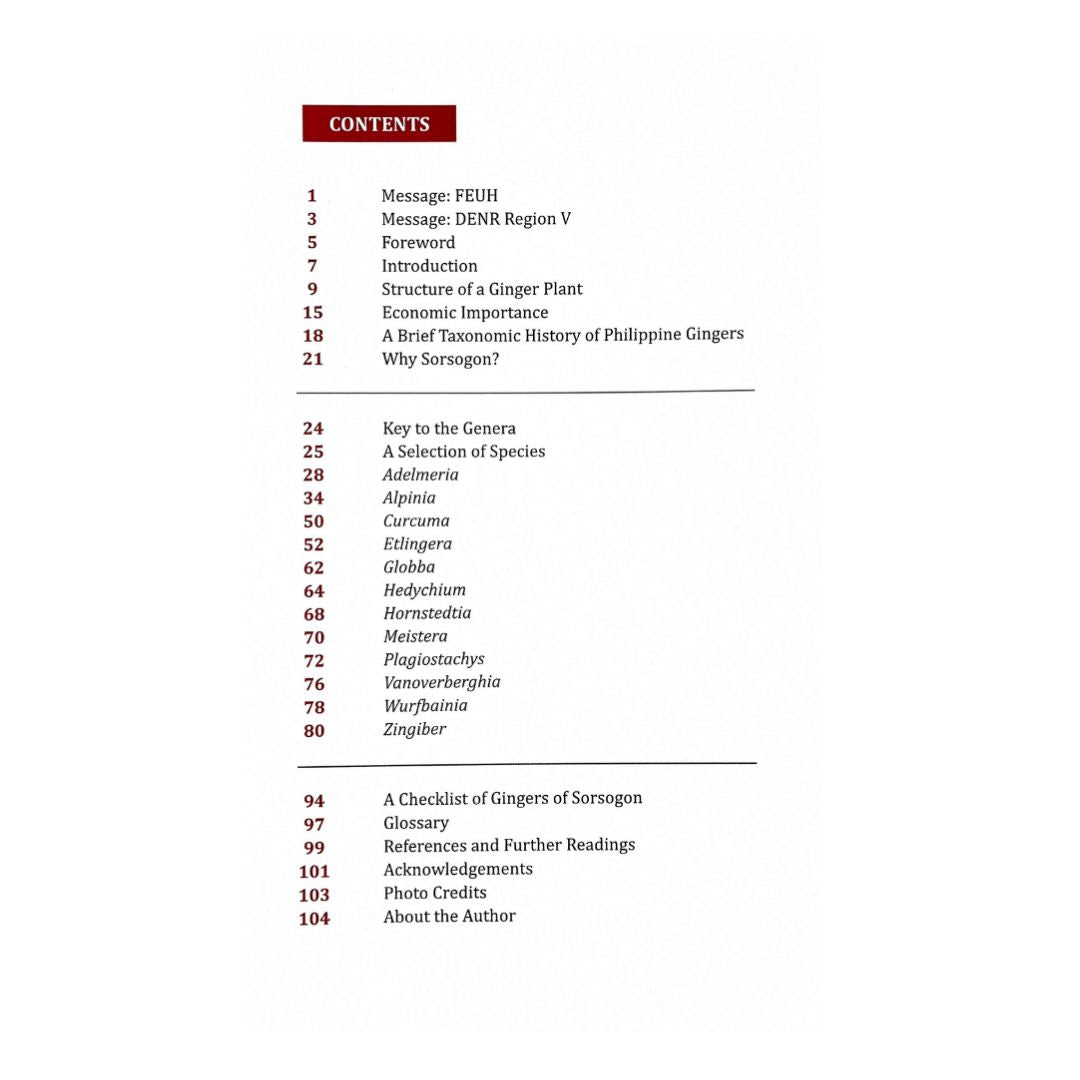 A Guide to Ginger of Sorsogon: R. V. A. Docot (Table of Content)