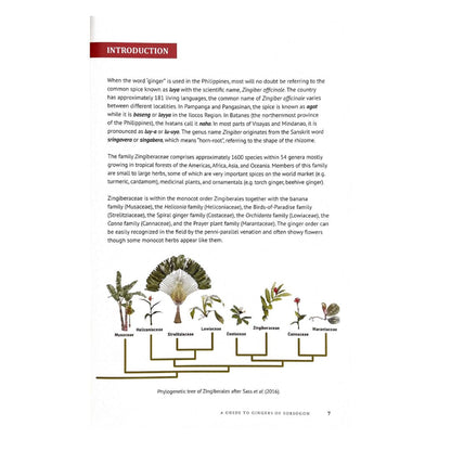 A Guide to Ginger of Sorsogon: R. V. A. Docot (Intrudcution)