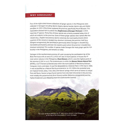 A Guide to Ginger of Sorsogon: R. V. A. Docot (Image of  Mount Bulusan)