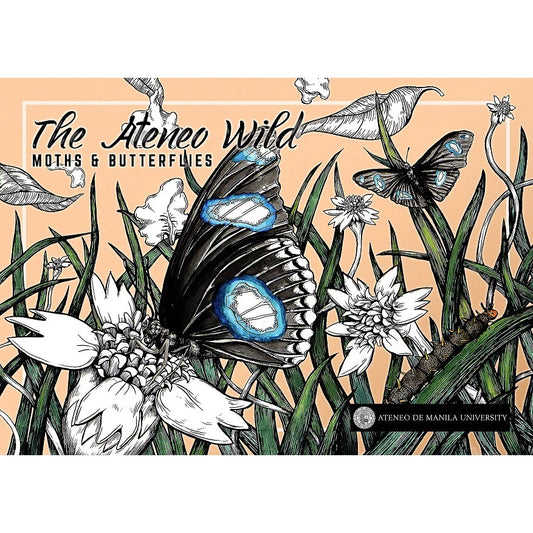 The Ateneo Wild: Butterflies and Moths Front Cover