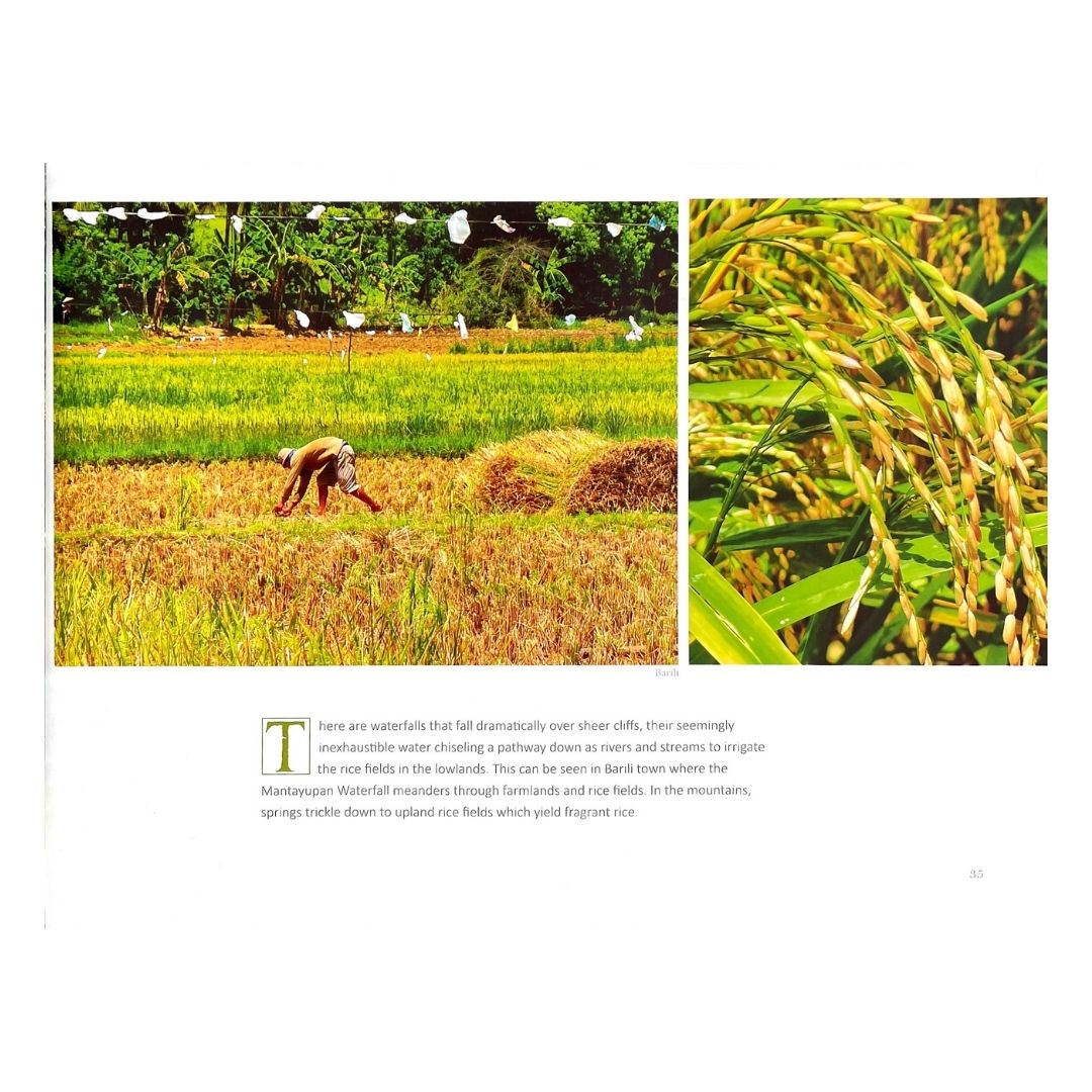 Hikay The Culinary Heritage of Cebu (Image of A Filipino Farmer)
