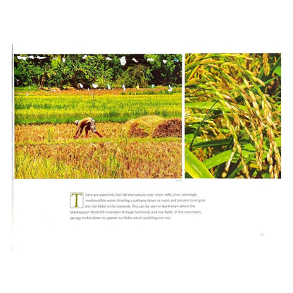 Hikay The Culinary Heritage of Cebu (Image of A Filipino Farmer)