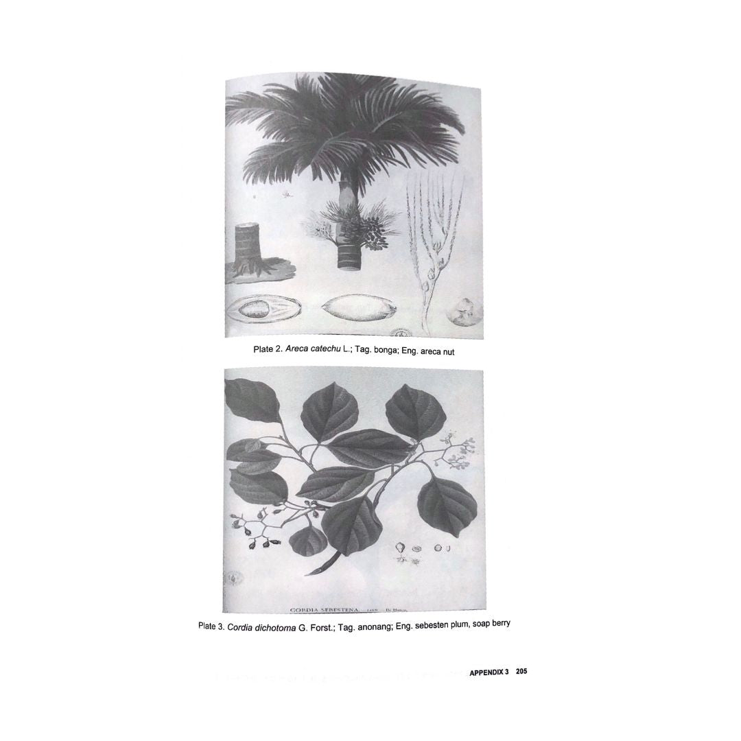 Traditional Medicinal in the Colonial Philippines: 16th to the 19th Century Revised Edition by Ma. Mercedes G. Planta