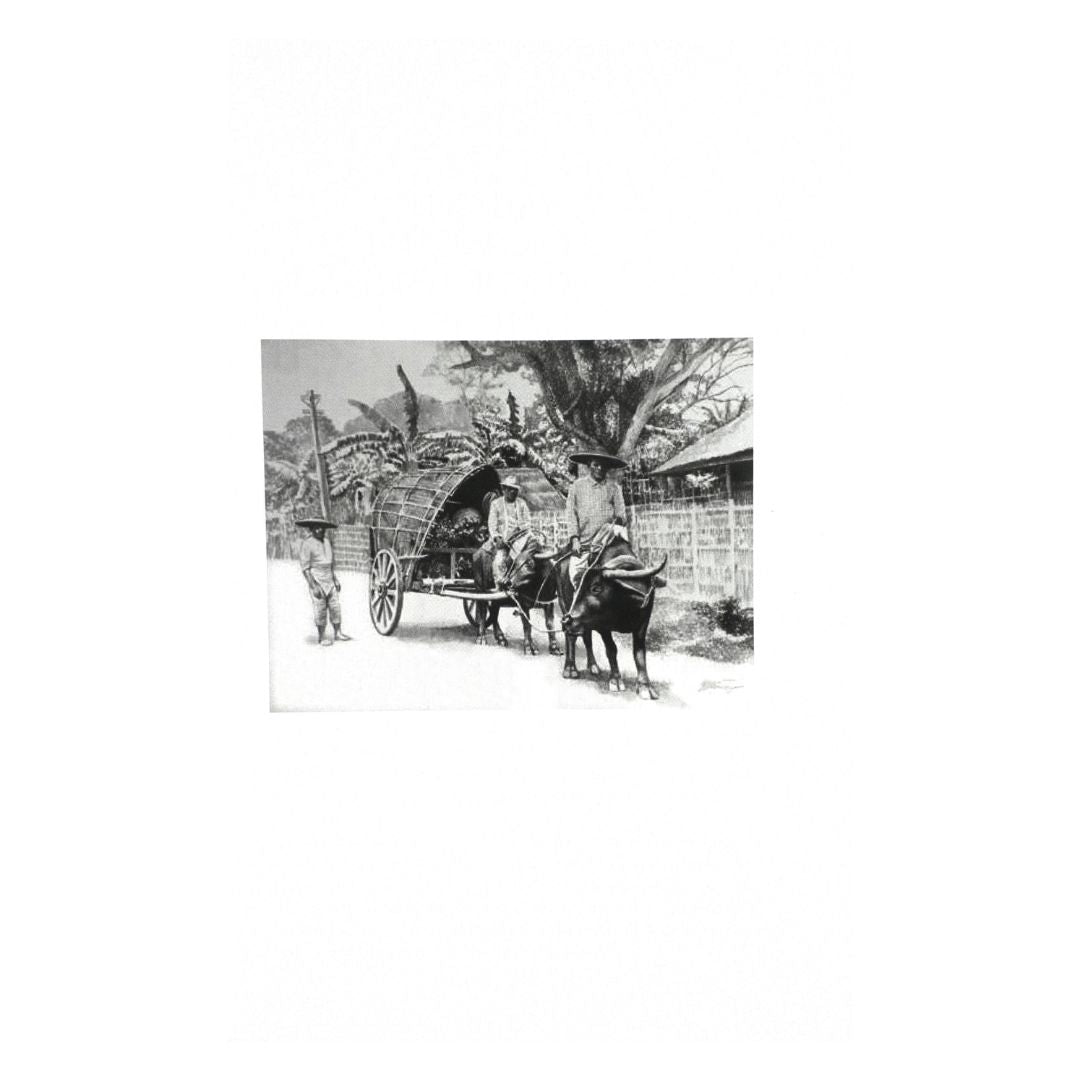Under The Stacks (Image of People and Carabao)