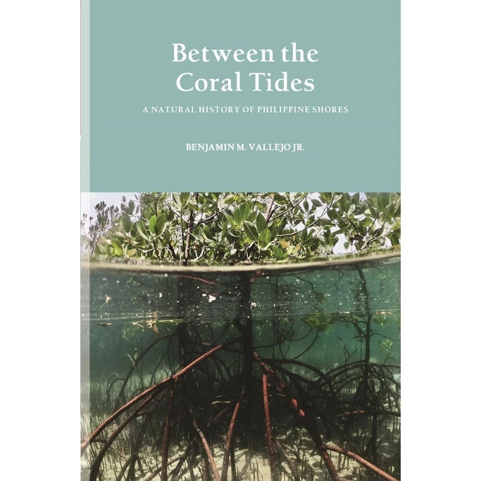 Between the Coral Tides A Natural History of Philippine Shores Front Cover