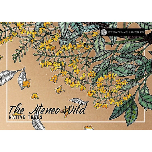 The Ateneo Wild: Native Trees Front Cover