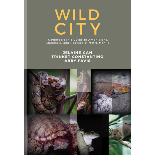 Wild City A Photographic Guide to Amphibians, Mammals, and Reptiles of Metro Manila Front Cover