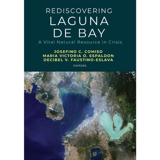 Rediscovering Laguna de Bay A Vital Natural Resource in Crisis Front Cover