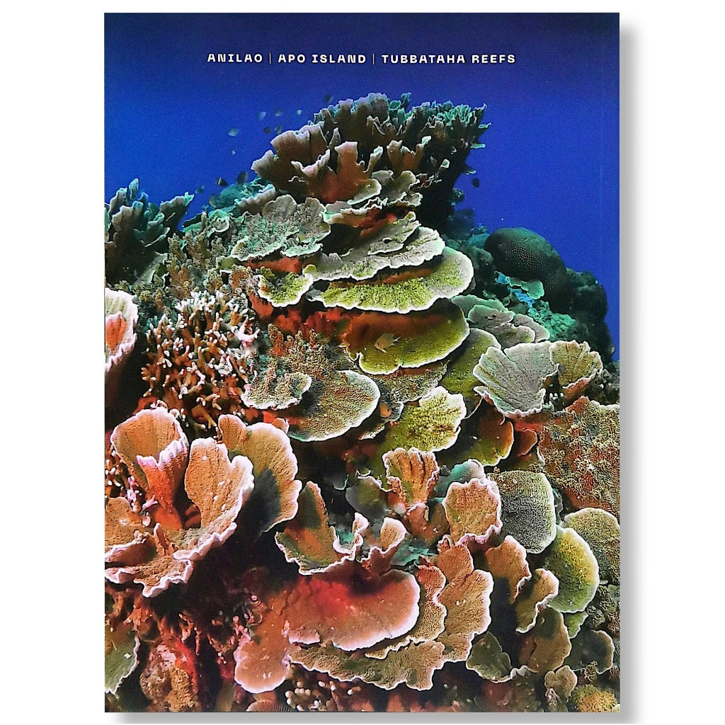 Dive Buddies by Danny Ocampo Front Cover