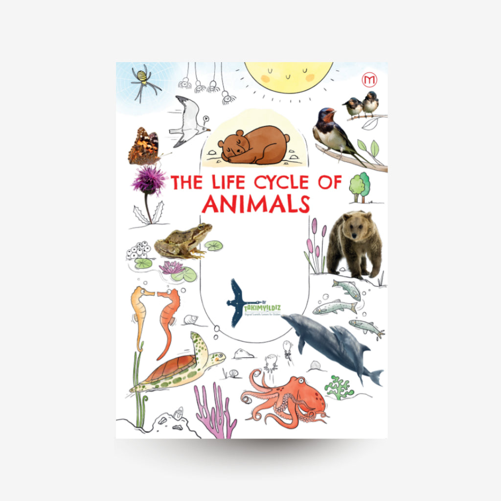 The Life Cycle of Animals by Takimyildiz Front Cover