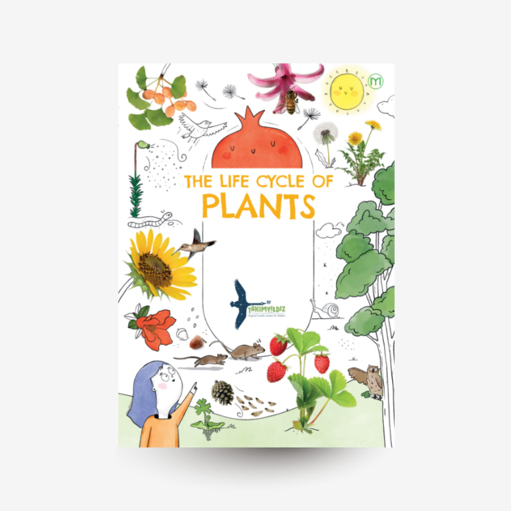 The Life Cycle of Plants by Takimyildiz Front Cover