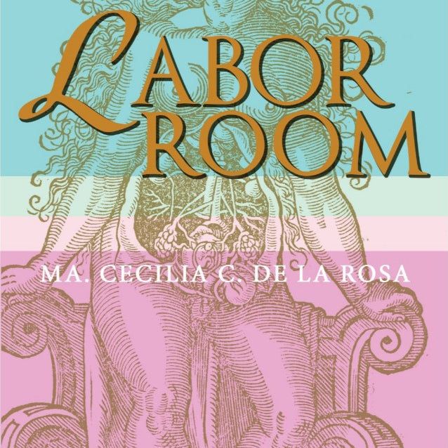 Labor Room by Ma. Cecilia de la Rosa Front Cover
